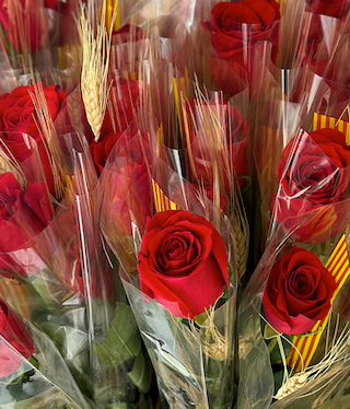 Rosa + Postal